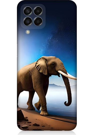 Samsung Galaxy M33 Uyumlu Silikon Kılıf Deniz Gökyüzü Ve Fil