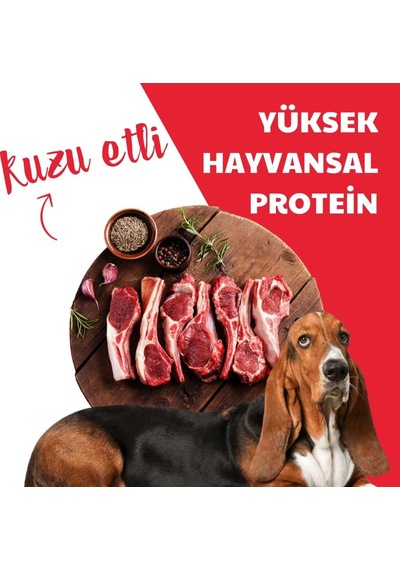 Tr Kuru Yetişkin Köpek Maması, Kuzu Etli Ve Pirinçli, Yetişkin Köpek, Yüksek Proteinli, 10kg