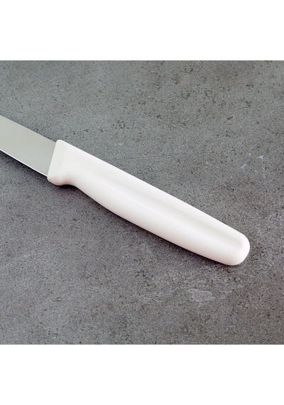 Aryıldız Sivri Uçlu Meyve Bıçağı Beyaz 8 Cm