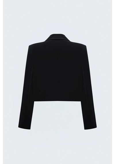 Sateen Sally Uzun Kol Crop Ceket Siyah