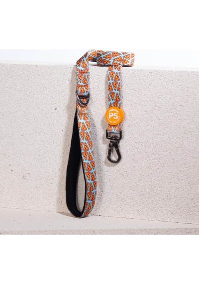 Pizza Leash Kedi Köpek Sevk & Gezdirme Kayışı Köpek Uzatma Tasması-1,5cm Turkuaz