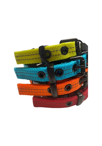 İçi Köpük Destekli Şık Premium Boyun Tasması 1,5 Cm X 25-33 Cm Çok Renkli