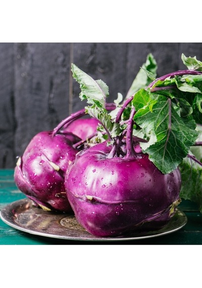 Mor Kohlrabi Tohumu Geleneksel Mor Alabaş Purple Vienna