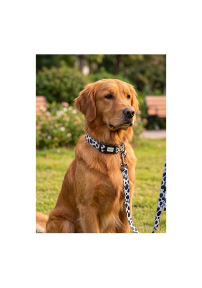 Geri Dönüştürülmüş Doğa Dostu Ayarlanabilir Kedi Köpek Boyun Tasması Benekli Siyah