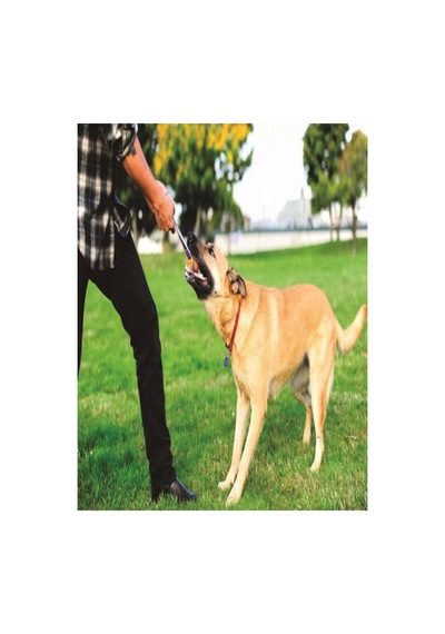 Ultra Tug Köpek Çekiştirme Topu Büyük Boy - L