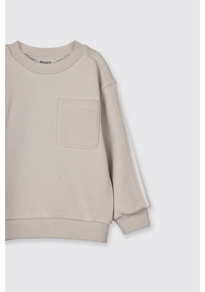 Panço Erkek Bebek Kol Üstü Şerit Detaylı Taş Sweatshirt Gri