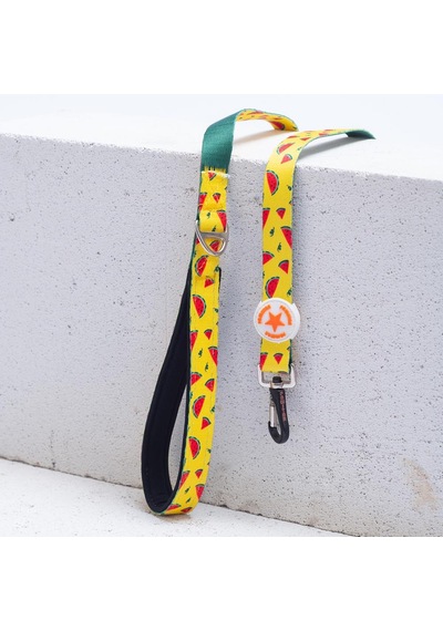 Watermelon Leash Karpuz Desenli Kedi Köpek Sevk & Gezdirme Kayışı Köpek Uzatma Tasması-1,5cm Sarı