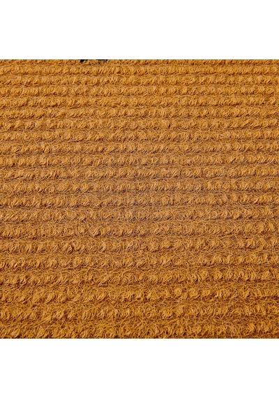 Güle Güle Kapı Önü Paspası - Bej - 40x60 Cm Çok Renkli