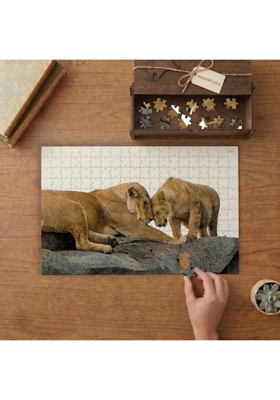 Anne Ve Yavru Aslan Tasarımı 240 Parça Ahşap Puzzle Ahşap Kutuda Mpy40073