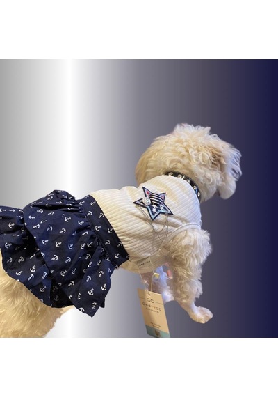 Gedyco Çapalı Küçük Irk Köpek Elbisesi