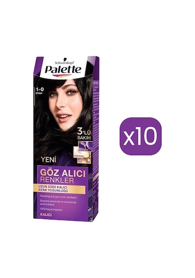 Palette Göz Alıcı Renkler Saç Boyası Siyah 10'lu