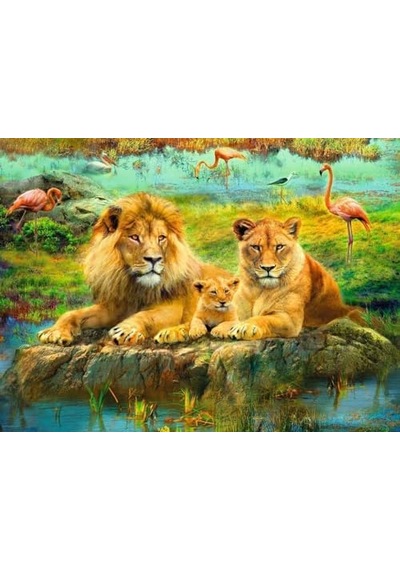 500p Puzzle Aslan Ailesi, Yapboz