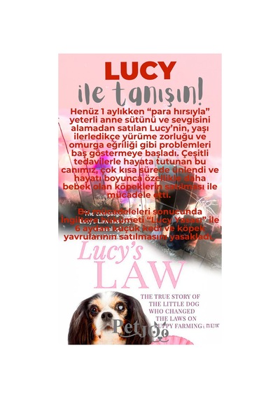 Petjoo 11.Lucy Gri-Kırmızı Qr'lı Köpek Künyesi