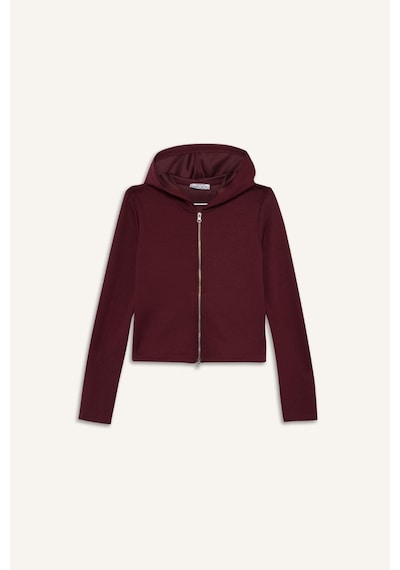 Defacto Slim Fit Dar Kesim Kapüşonlu Modal Fermuarlı Sweatshirt F7651ax25aubr115 Bordo-br115