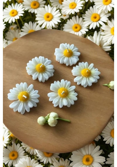 Bernami Vazo Pinterest Suda Yüzen Hediyelik Kokulu Papatya Mum - 1 Adet Diğer