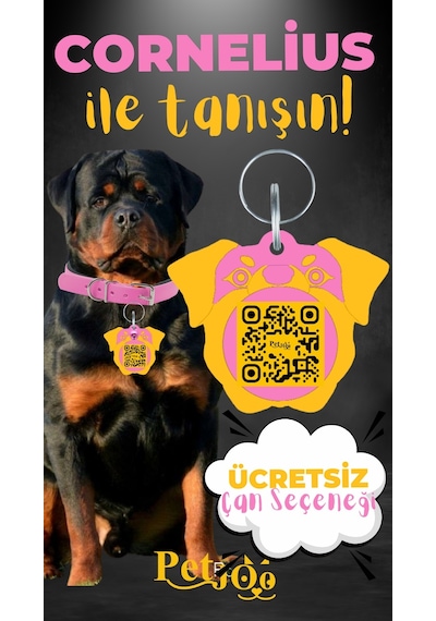 Petjoo 20.Cornelius Sarı-Pembe Qr'lı Köpek Künyesi