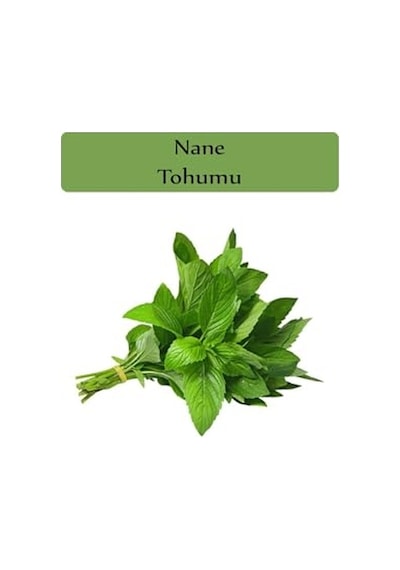 Nane Tohumu 1 Paket 0,02gr