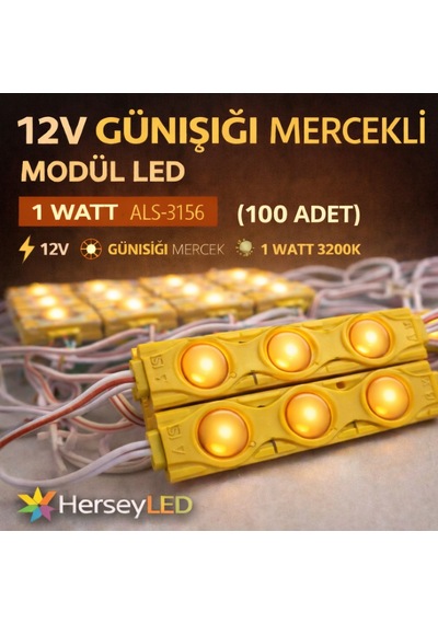 12v Günışığı 1 Watt Mercekli Modül Led 100 Adet Yüksek Verimli Led Günışığı
