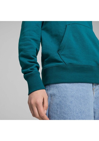 Puma Classics Shiny Logo Kadın Yeşil Kapüşonlu Hoodie Yeşil