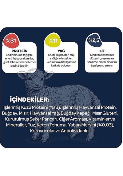 Obivan Kuzu Etli Ve Yaban Mersinli Yetişkin Kedi Maması 2 Kg