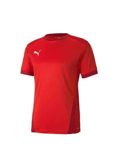 Puma 704171 Teamgoal 23 Jersey Çok Renkli