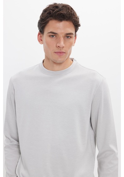 Tudors Erkek Standart Fit Normal Kesim Uzun Kollu Ekstra Soft Modal Kumaş Bisiklet Yaka Taş Sweatshirt-50210