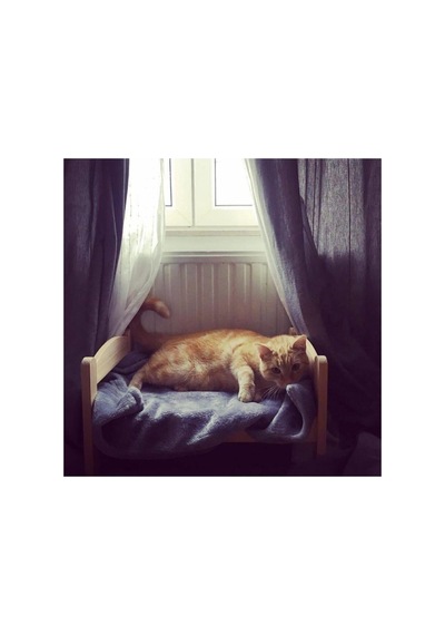 Ahsap Kedi Yatak Naturel