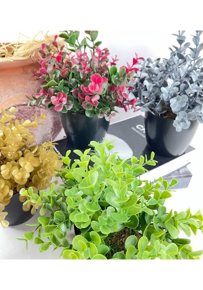Yapay Çiçek Yeşil Renk Şimşir Siyah Saksıda Siyah Plastik Saksılı