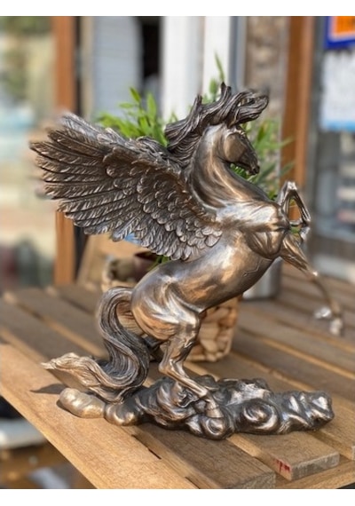 Pegasus Biblo