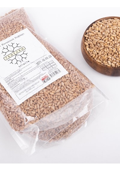 Teofarm Amik Ovası Karakılçık Buğdayı 1 KG