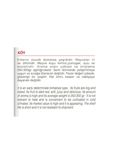 AGRodal Tarım Ata Tohumu Yerli Doğal Köy Domatesi 1000 Adet Tohum