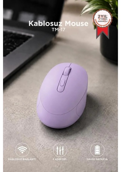 Özel Seri Bilgisayar Aksesuarı Cihaz Faresi Mouse Çift Modlu Sessiz Kablosuz Fare Tm17 Mor