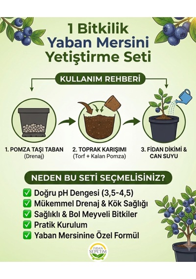 Tr 1 Bitkilik Yaban Mersini Yetiştirme Seti Genel