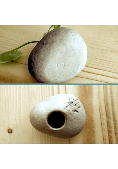 Omeniv Mini Bonsai Saksı + Sukulent Kaktüs Otantik