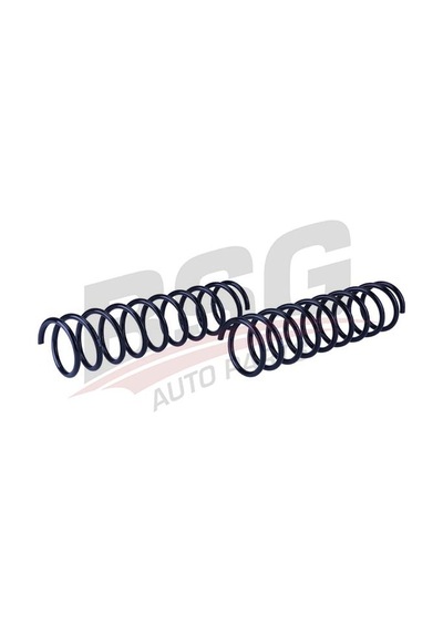 Bsg Helezon Yayı Arka - Twıngo 93-00