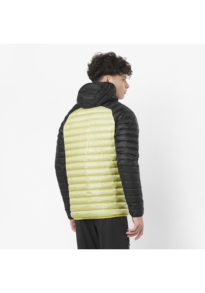 Salomon Elıxır Mıcro Down Erkek Outdoor Montu Charlock Lc2104100 Sarı