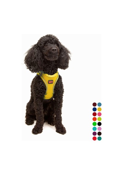 Tailpetz Air-mesh Küçük Ve Orta Irk Kedi Köpek Göğüs Tasması - Yumuşak, Nefes Alabilir, Dayanıklı Sarı, Xs Sku: Zeusb0clphqhv4 Açık Bej - Bej