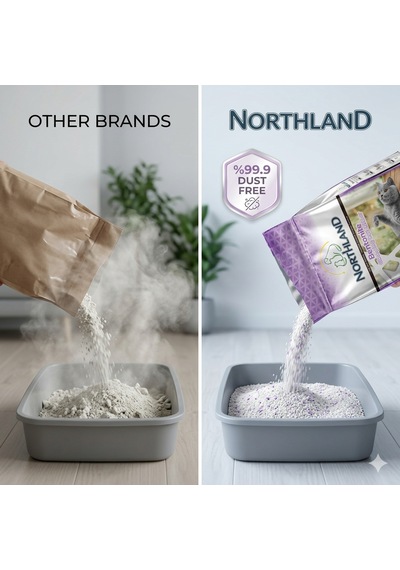 Northland Doğal Bentonite- Süper Topaklanan Lavanta Kokulu Kedi Kumu 10 Lt X 2 Adet