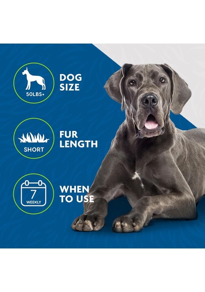Undercoat Deshedding Aleti, Büyük Köpekler İçin, Kısa Saç
