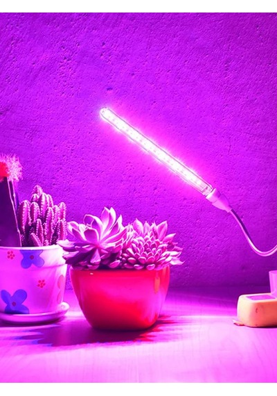 Taşınabilir Bitki Büyütme Lambası 21 Led Mor Stick Led Aydınlatma