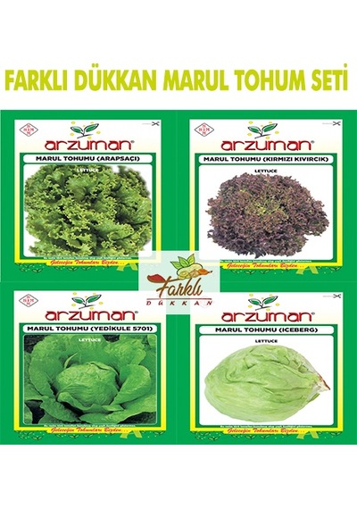 Marul Tohum Seti Kıvırcık Düz Kırmızı İceberg Marul