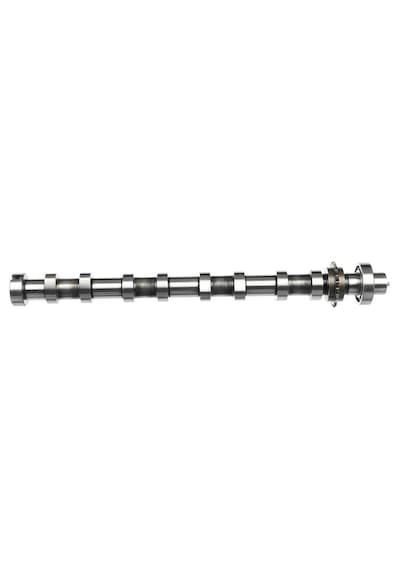 Estas 40079 Eksantrik Mili Emme 7mm Berlıngo C-elysee C3 Iı C4 Cactus C5 Jumpy Ds 7 Ds 4 Iı Ds 3 Rıfter Partne R 508 Iı 5008 Iı 308 Iıı 301 3008 208 Iı 2008 I Focus Iv 18 Courıer 18 1.5 Ecoblue 9825013780-jx6q6a270ac - Estas 40079 Eksantrik Mili Emme 7mm Berlıngo C-elysee C3 Iı C4 Cactus C5 Jumpy Ds 7 Ds 4 Iı Ds 3 Rıfter Partne R 508 Iı 5008 Iı 308 Iıı 301 3008 208 Iı 2008 I Focus Iv 18 Courıer 18 1.5 Ecoblue 9825013780-jx6q6a270ac -