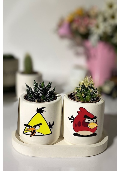 Tabaklı Angry Birds Desenli Mini Saksı Seti Hediyelik Dekoratif