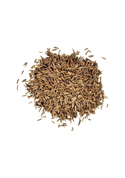 100+ Frenk Kimyonu Şifalı Yeşillik Tohumu N113446