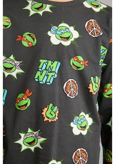 Defacto %100 Pamuk Ninja Turtles Baskılı 2li Pijama Takımı Erkek Çocuk I3396a826wnar221 Antrasit-ar221