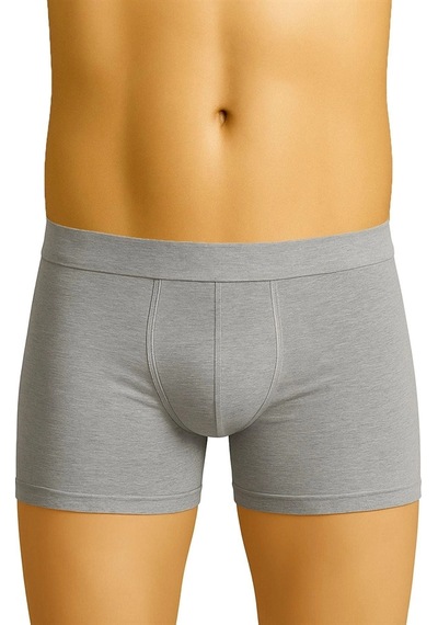 Amora Secret Gri Mı Emay 6800 Erkek Boxer
