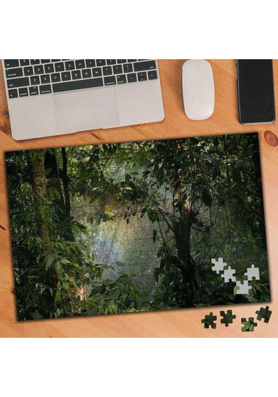 Valdivian-ılıman Yağmur Ormanı 240 Parça Puzzle Yapboz-3622
