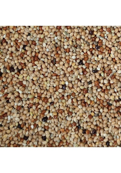 Karışık Muhabbet Kuşu Yemi 3 KG