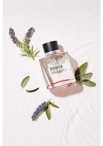 Antonio Banderas Power Of Seduction Erkek Parfüm EDT 100 ML