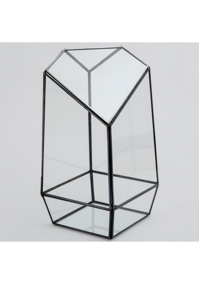 Cam Fanus Geometrik Teraryum Siyah Valens